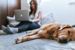 Woman reading from her laptop as her dog naps on the bed