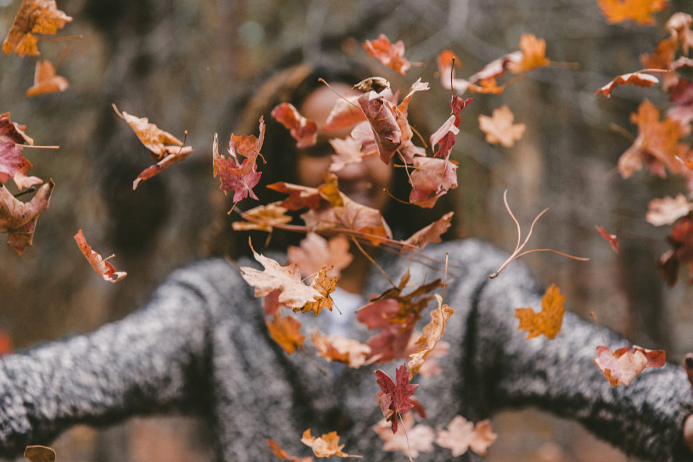 Fall leaves background