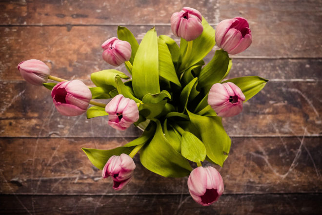 Tulips on a table