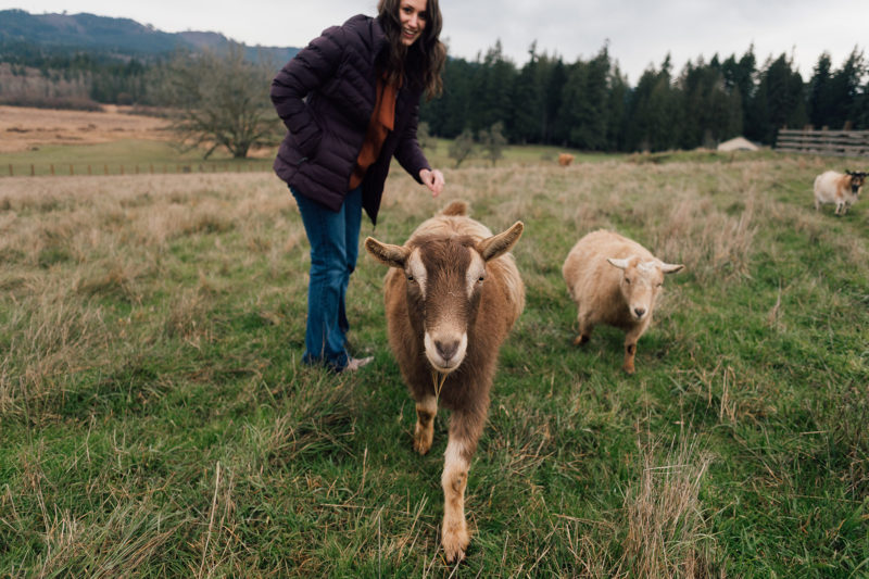 Taryn Colborn of Olympia Federal Savings at HayDay Heritage Farm