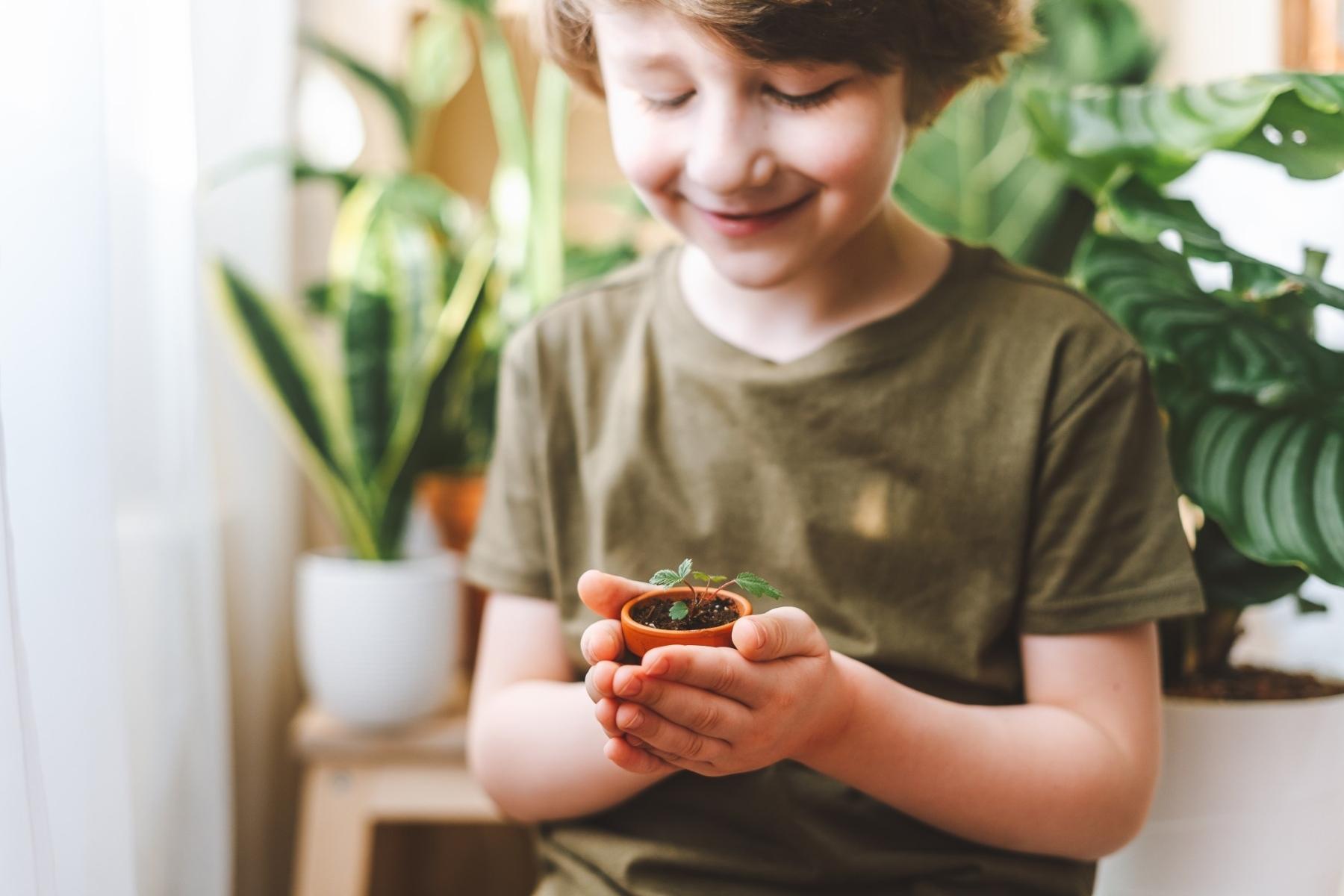 Child nurturing a plant