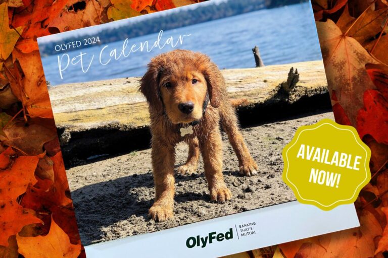 OlyFed Pet Calendars available now in branches.