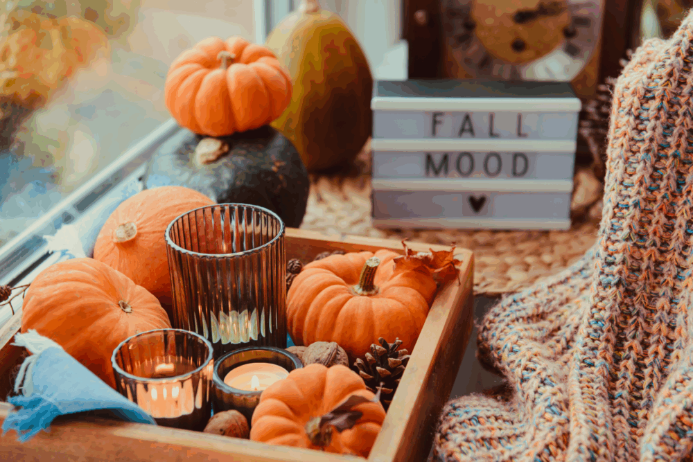Fall Mood