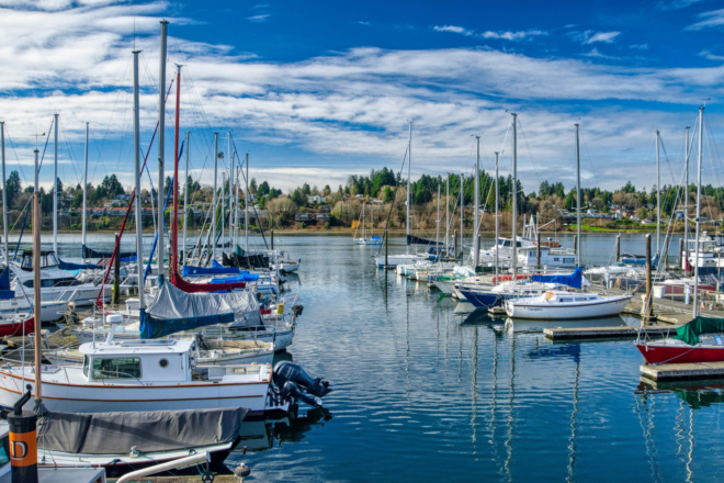 Two docks with large boats lined up on either side of them docking, on reflective blue water with a bright blue sky & green trees and houses in the background.